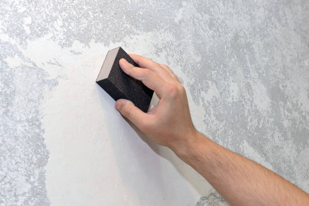 Best Commercial Mold Inspection  in Romeo, MI