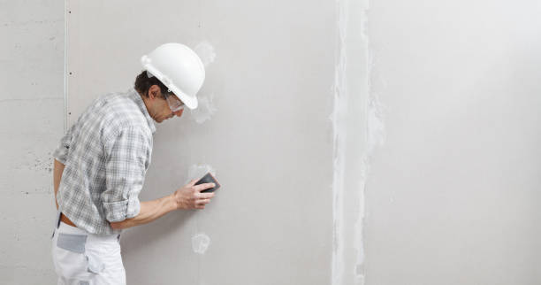 Best Mold Remediation for Vacation Homes  in Romeo, MI