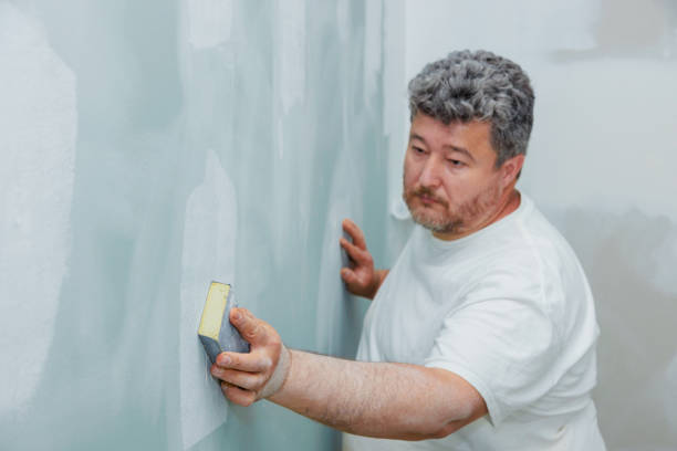 Reliable Romeo, MI Mold Removal Solutions