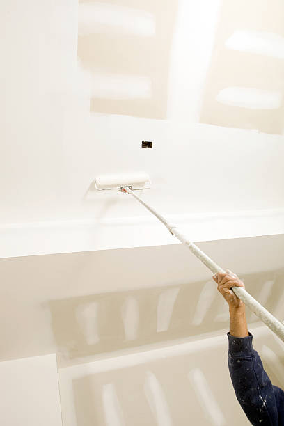 Best Mold Remediation for Healthcare Facilities  in Romeo, MI