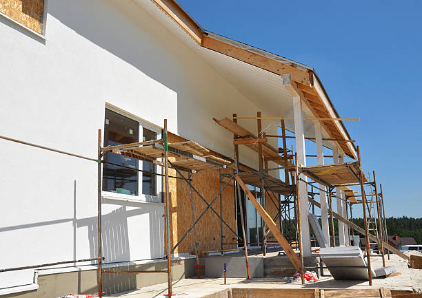 Best Post-Construction Mold Inspection  in Romeo, MI