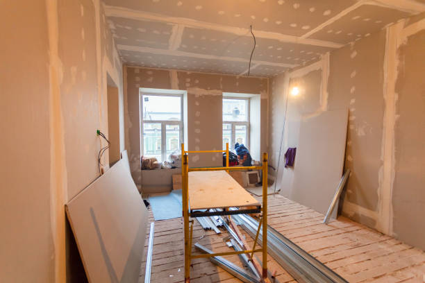 Best Black Mold Removal  in Romeo, MI